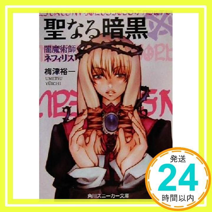 聖なる暗黒: 闇魔術師ネフィリス (角川スニーカー文庫 132-2