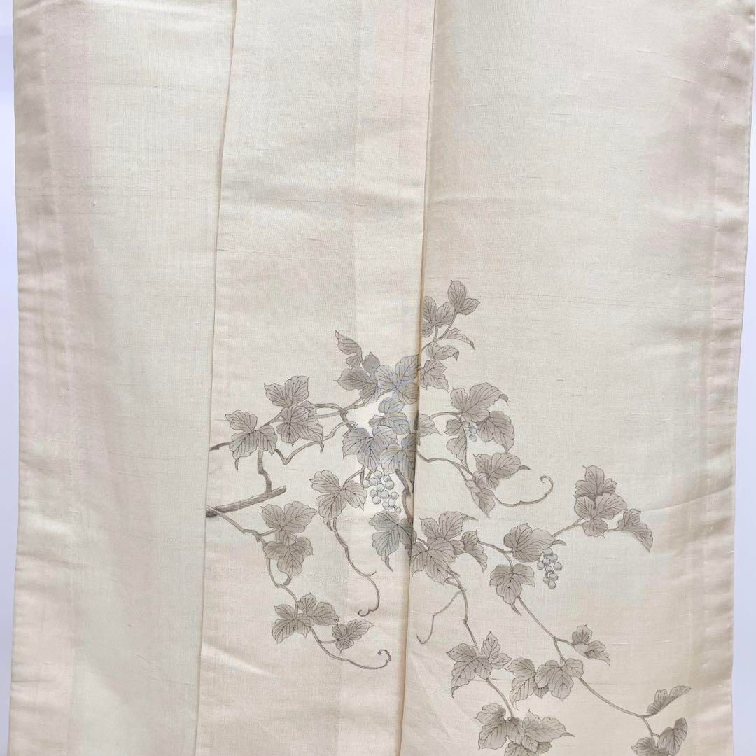 夏着物 付下げ 紗紬 涼庵 手描き 葡萄柄 枯野色 トールサイズ K-3886  