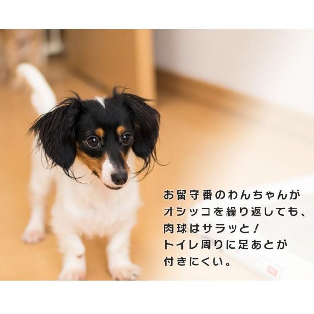 超吸収