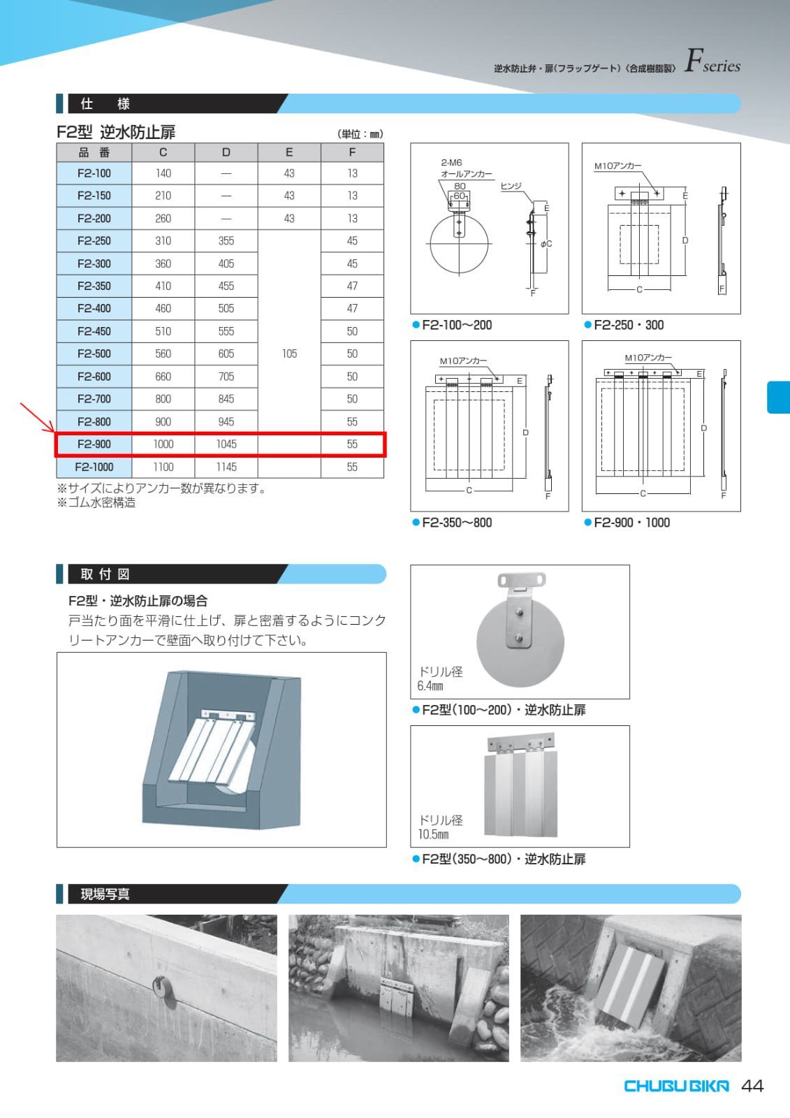 時 出荷日数２～４週間程度