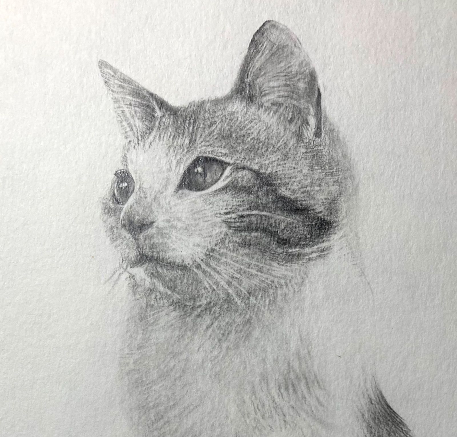 自作絵画　鉛筆画 mqdefault.jpg