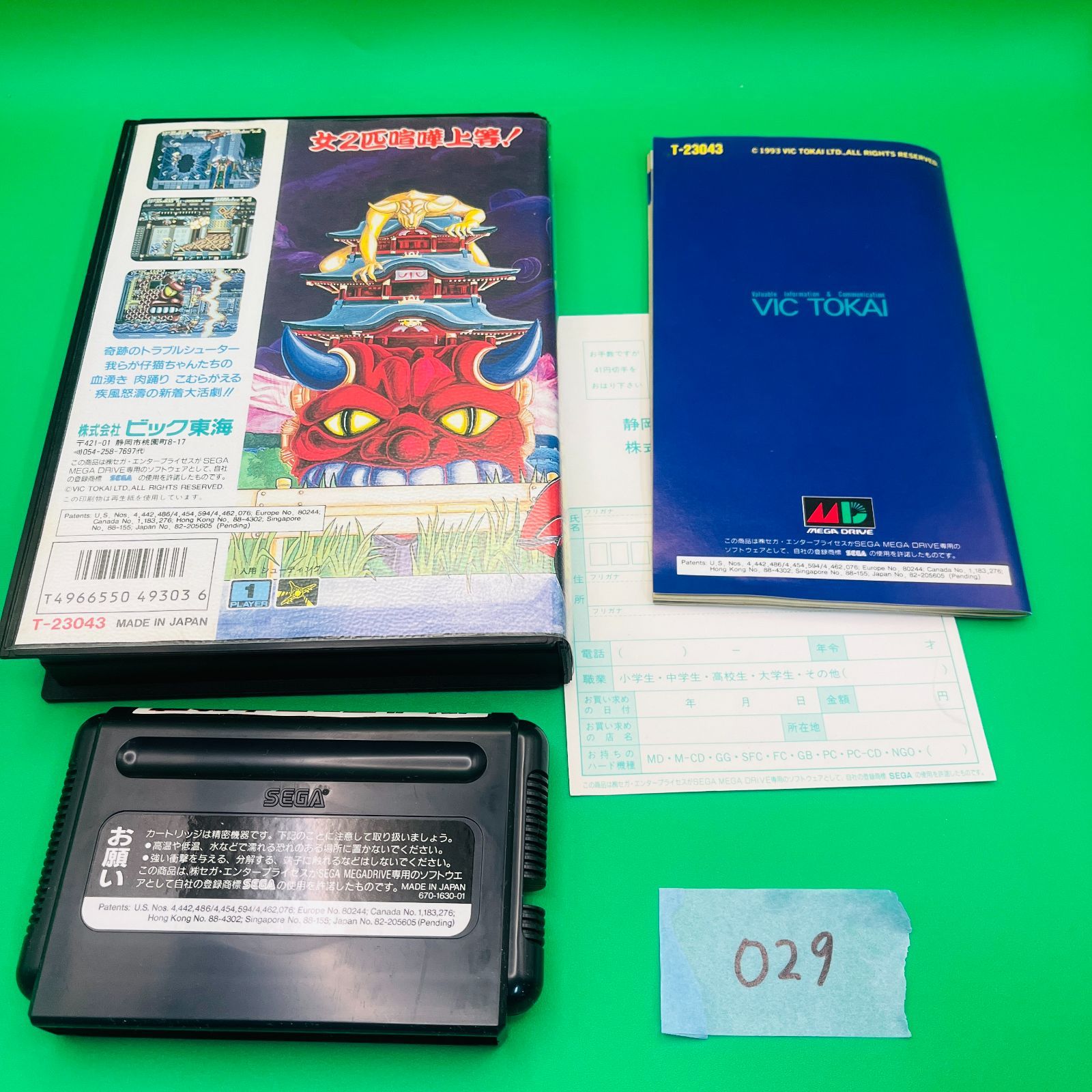 セガ ビック東海