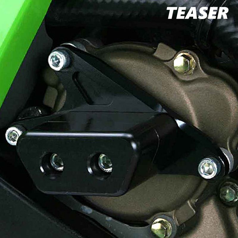 TEASER（ティ―ザ―）[E4D3KL]スライダー【BK/L】ZX-10R《04-05》