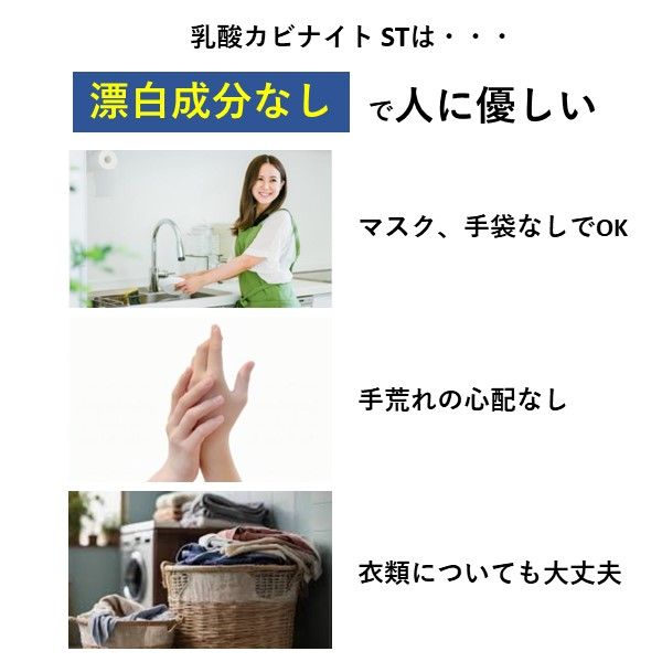 乳酸カビナイトST 450ml 24個セット 強力 カビ取り スプレー ミントの香り カビ取り剤 カビ対策 かびとり カビとり 黒カビ 赤カビ 壁 除去剤 フローリング 乳酸カビナイト WWW_SKLAD-KIRPICHA_RU