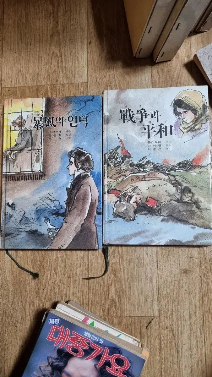 嵐が丘 戦争と平和 小説セット 全号 チェ ビョンソン絵