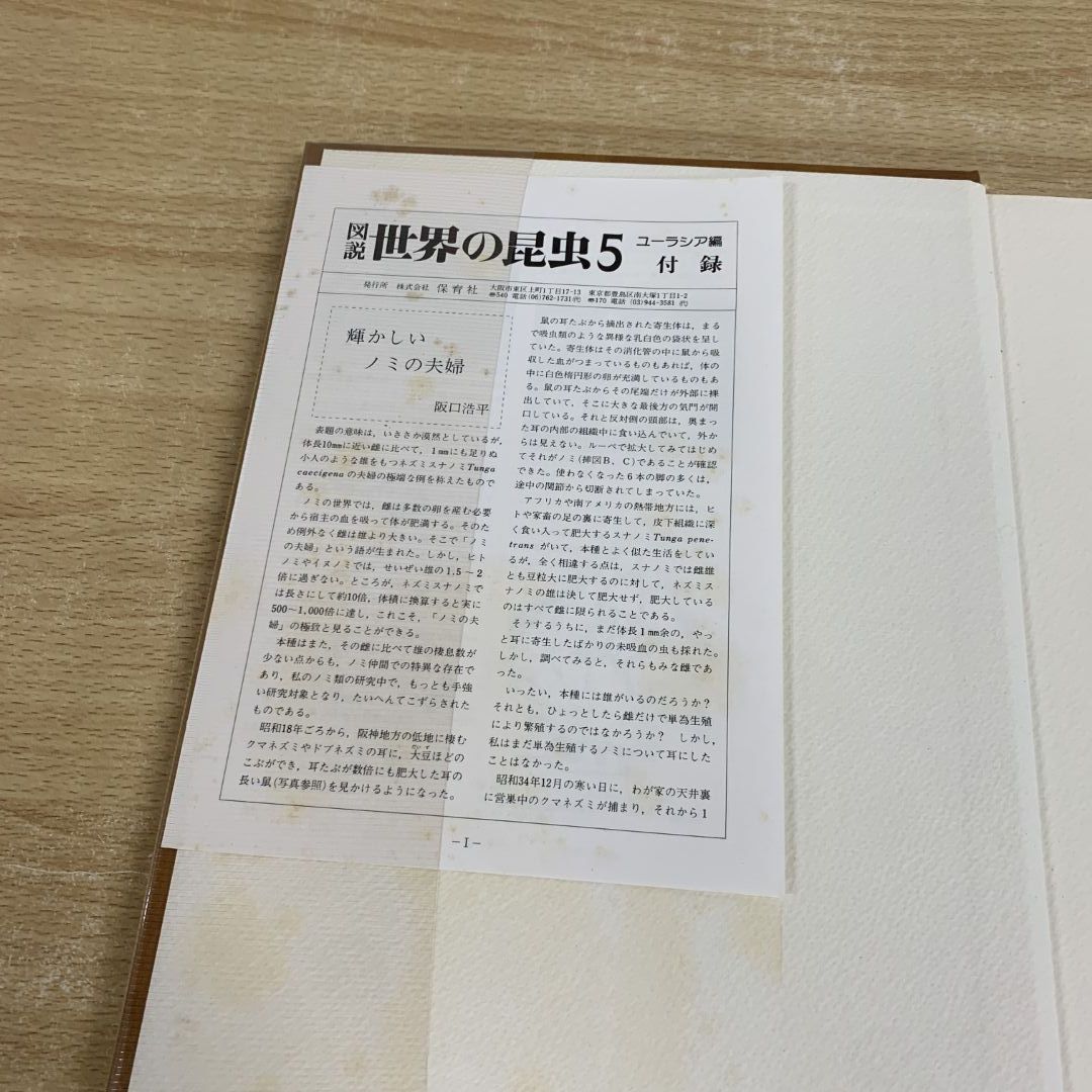 ▲01)【同梱不可】図説 世界の昆虫 5ユーラシア編/INSECTS OF THE WORLD/阪口浩平/保育社/昭和56年/A △01)【同梱不可】図説 世界の昆虫 5ユーラシア編/INSECTS OF