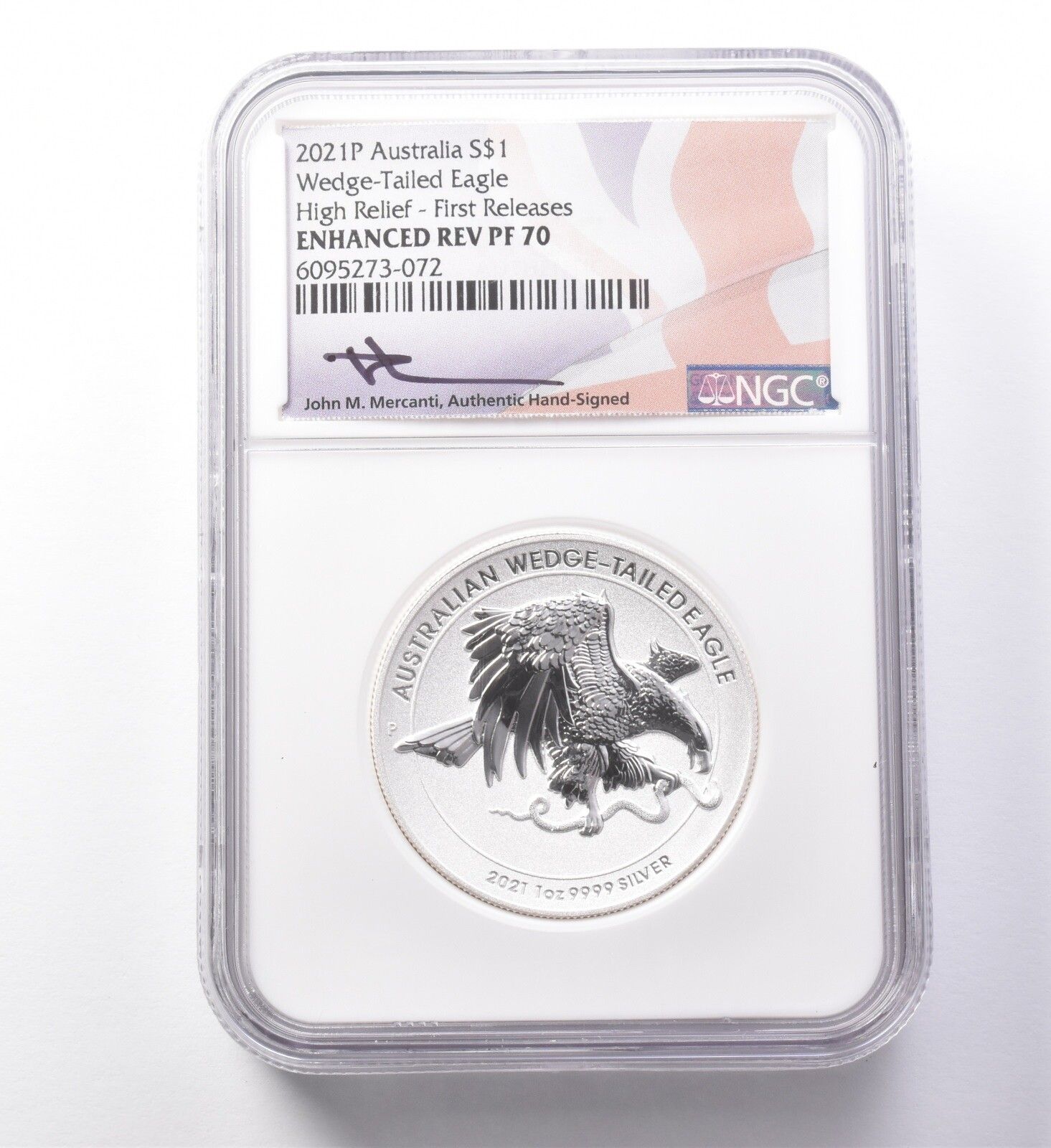 売れ筋ランキングも 150 dollars Australia Eagle, Wedge-Tailed