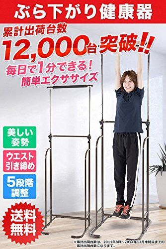 山善 ぶら下がり健康器