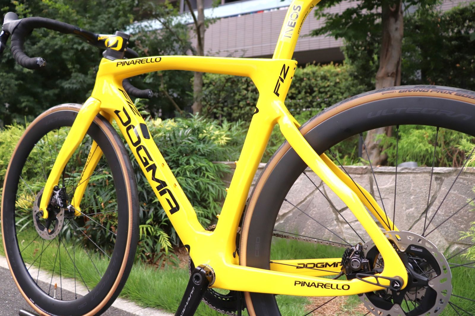 PINARELLO DOGMA F12 DISK 515サイズ 完成車 ピナレロ PINARELLO