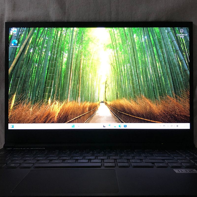 THIRDWAVE GROUP - ◆ジャンク品◆ゲーミングノートPC パソコン GALLERIA ガレリア GCL1650TGF【i5-10300H・GTX1650Ti・16GB・SSD512GB】★バッテリー異常/LT-JUNK-250257（035075） GALLERIA GCL1650TGFのレビュー｜約10万円のゲーミングノート