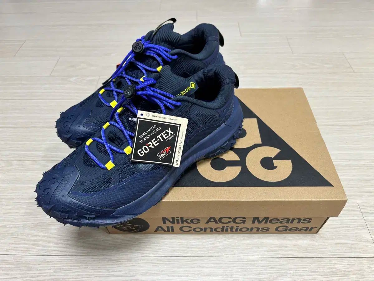 NIKE ナイキ ACG マウンテン フライ 2 ロー GORE-TEX ゴアテックス HF6245 ー 40