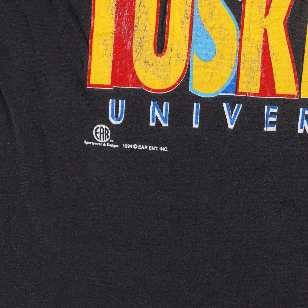 古着 90年代 UNKNOWN プリントTシャツ メンズXL ヴィンテージ ...