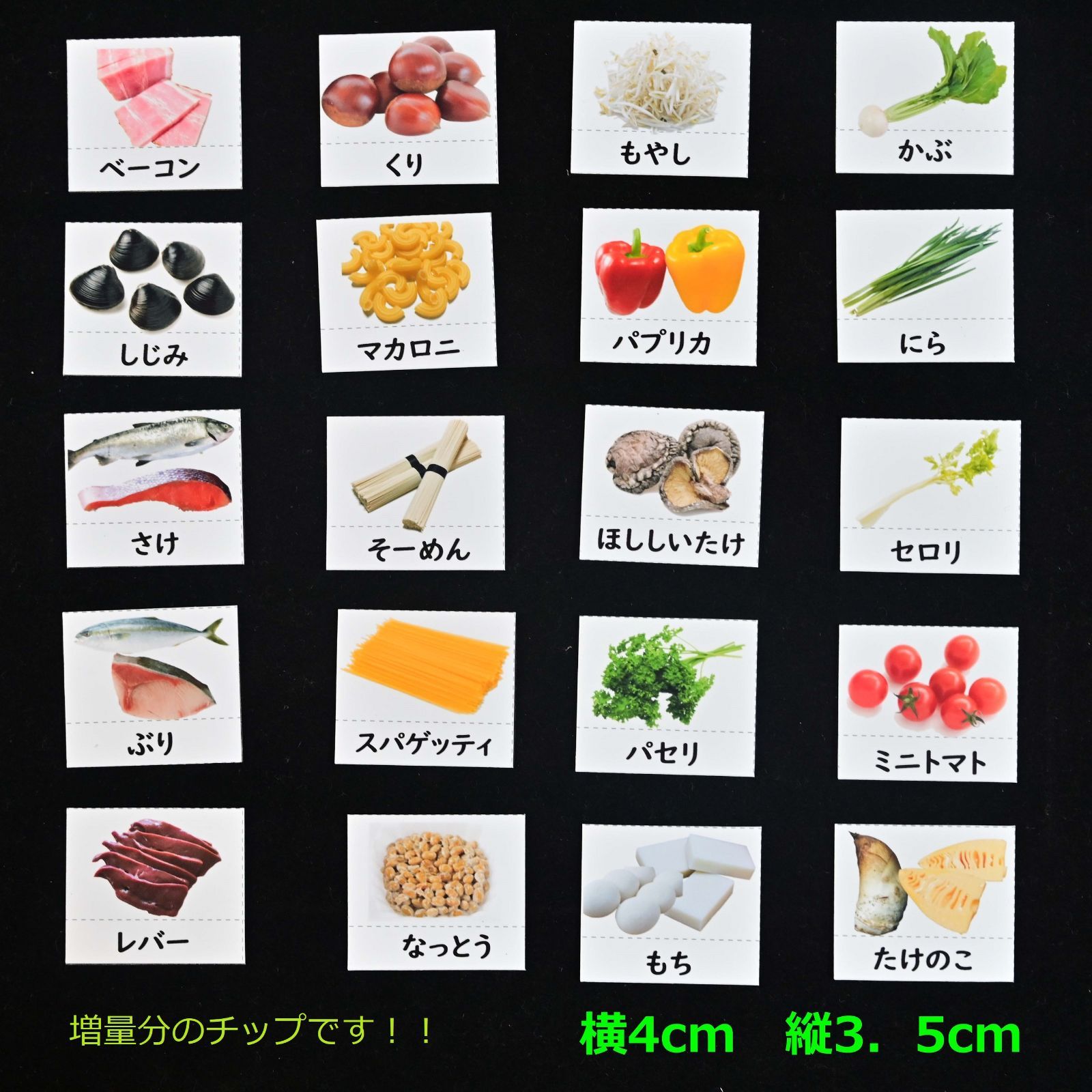 食材あそびセット(食材増量版）114種類 3色食品群に 食育に 料理に