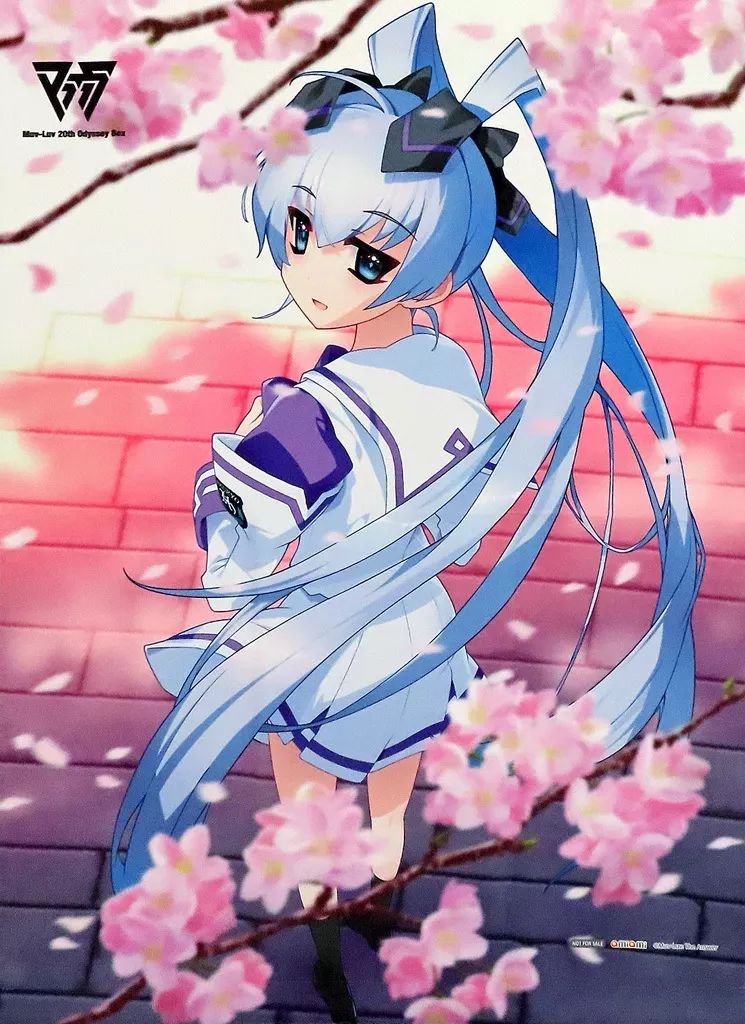 蒼品 タペストリー 社霞 B2タペストリー 「Switchソフト Muv-Luv(マブラヴ