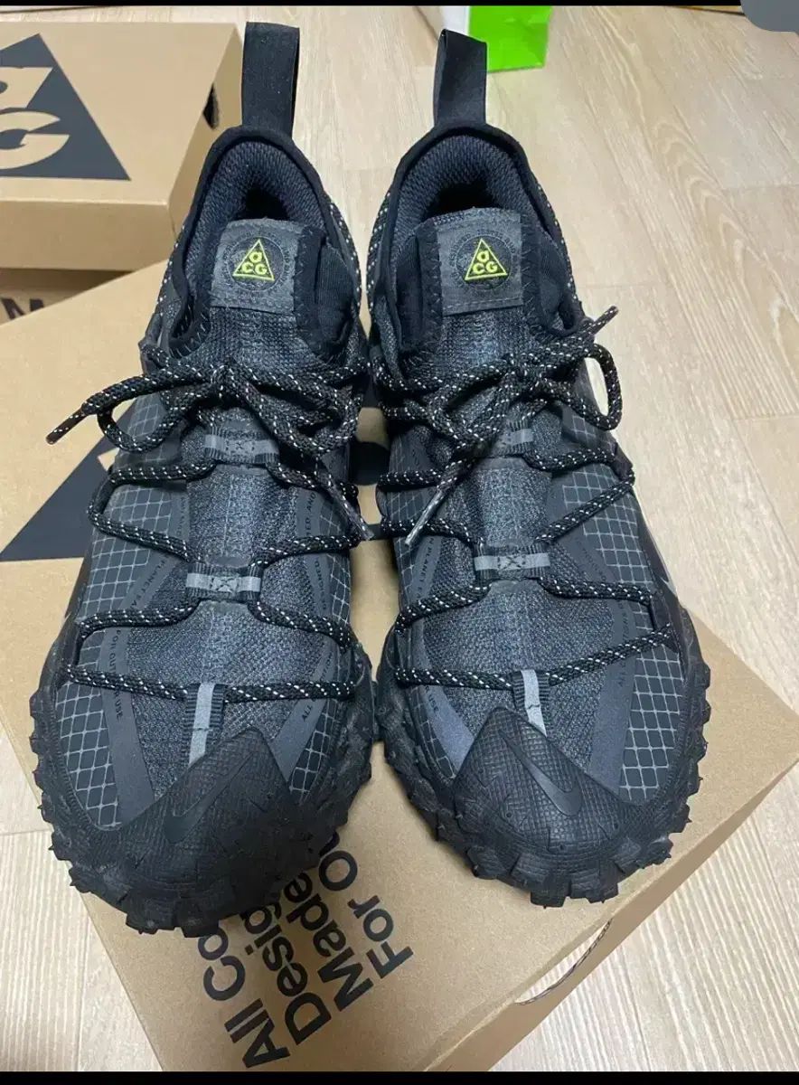 NIKE ナイキ ACG マウンテン フライ 2 ロー