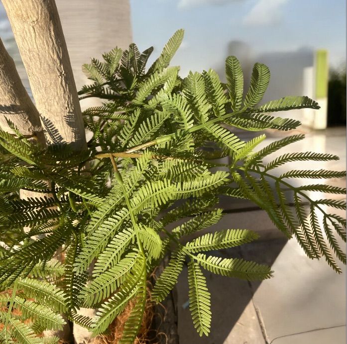 光触媒 人工観葉植物 ウォールグリーン フェイクグリーン