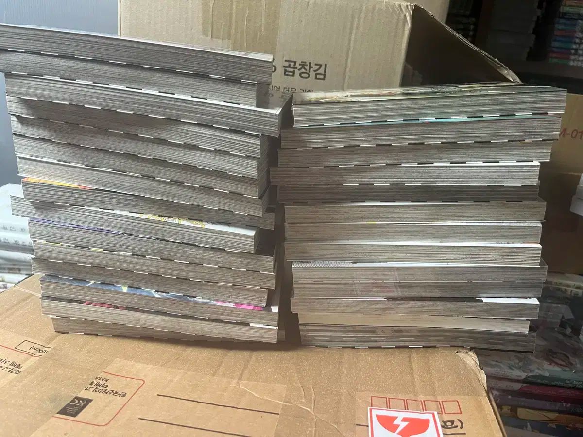 D.Gray-man 1-26 リバース1 グレーの城宝 全巻