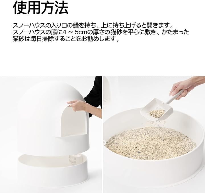 本体