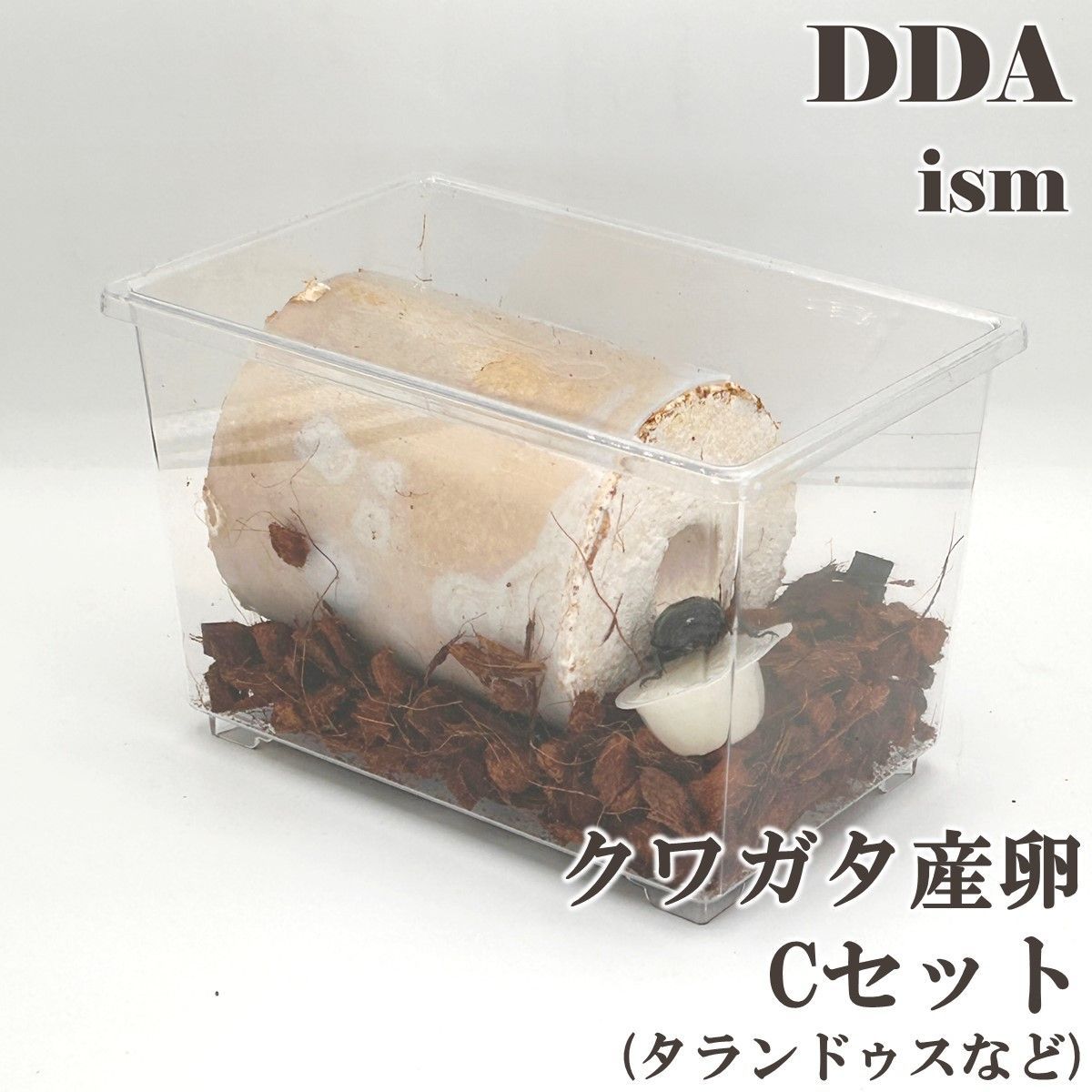 4点フルセット／ 産卵マニュアル付き！カワラ種に最適！【DDA