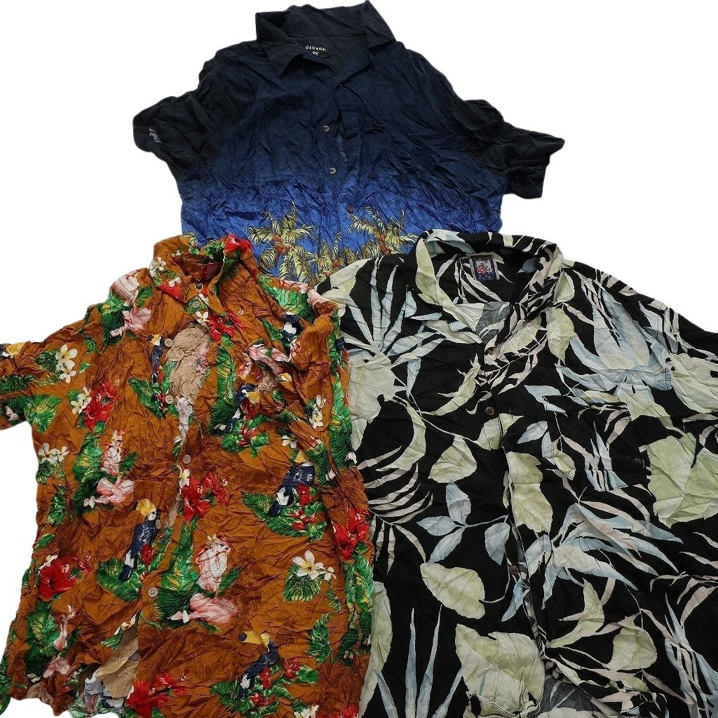2XL パームツリー