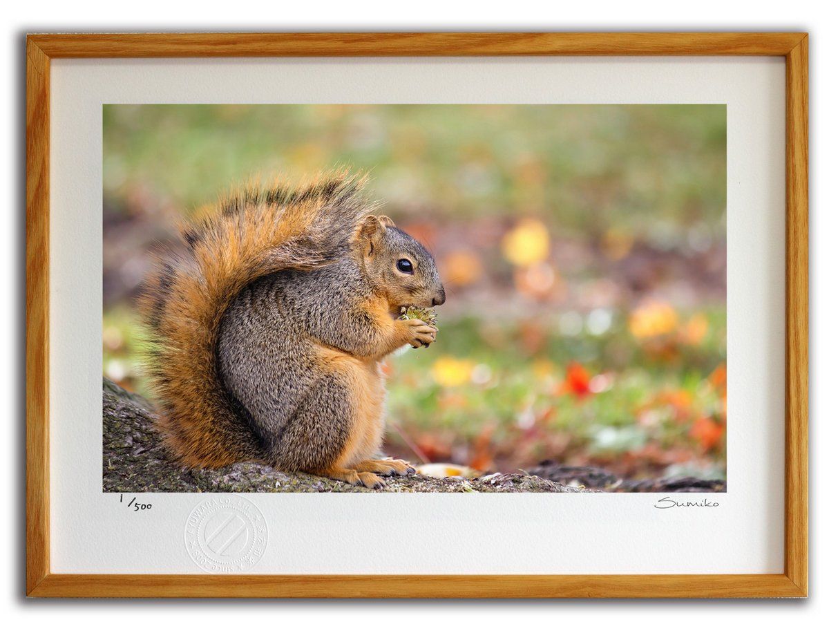 Darren Wilson 油彩画 A King is Born Darren Wilson 油彩画 A King is