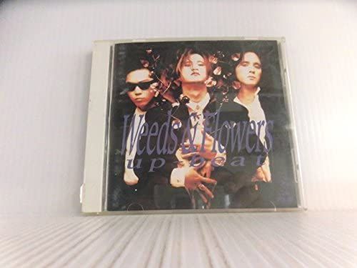 UP-BEAT 広石武彦 T4R CD セット UP-BEAT 広石武彦 T4R CD セット