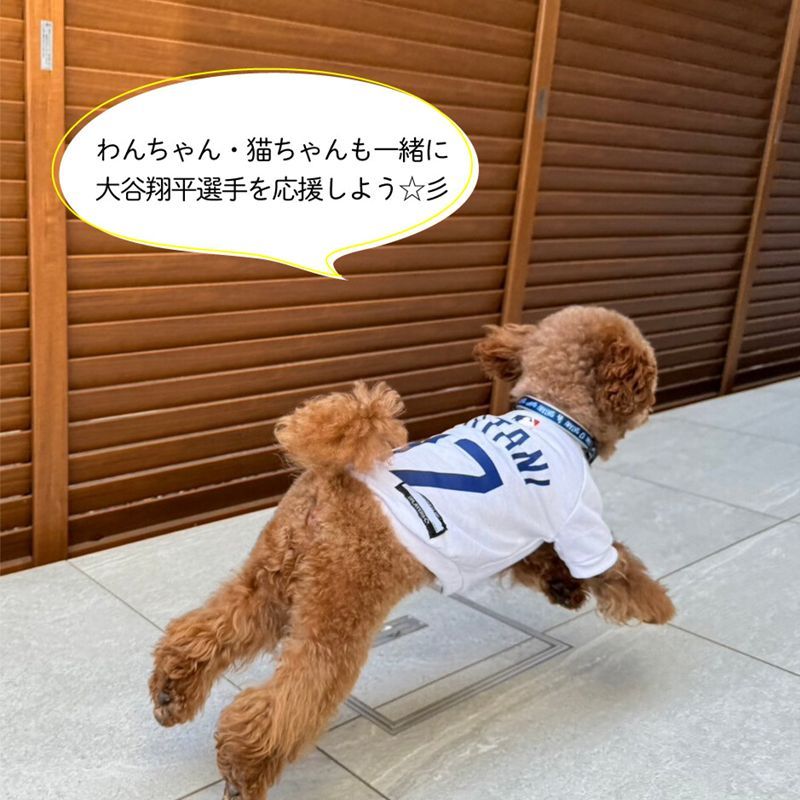 【MLB公式】大谷翔平モデル　Tシャツ　ドジャース　ユニフォーム　応援グッズ　犬服　中型犬　大型犬　野球