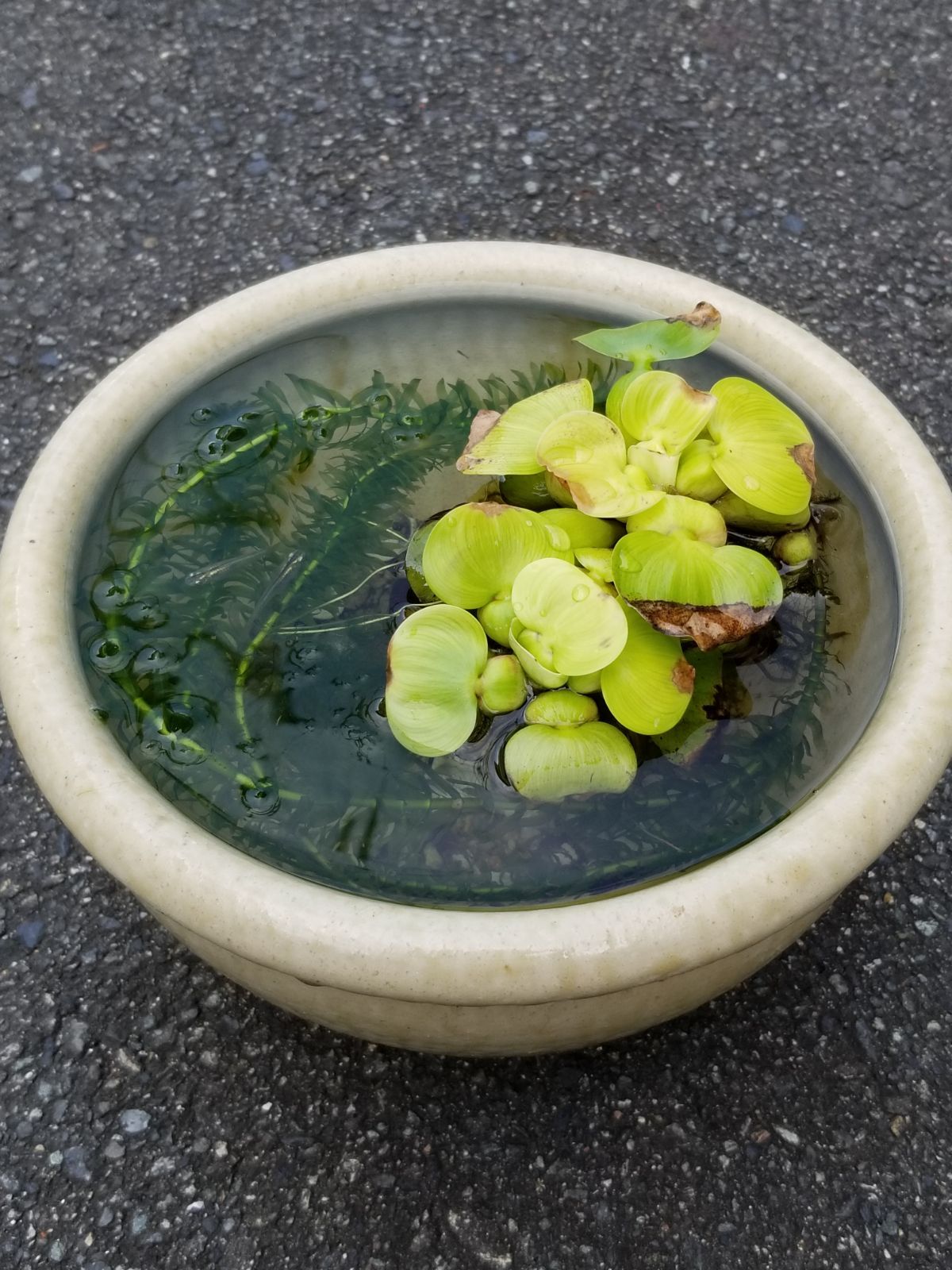 民藝 花器