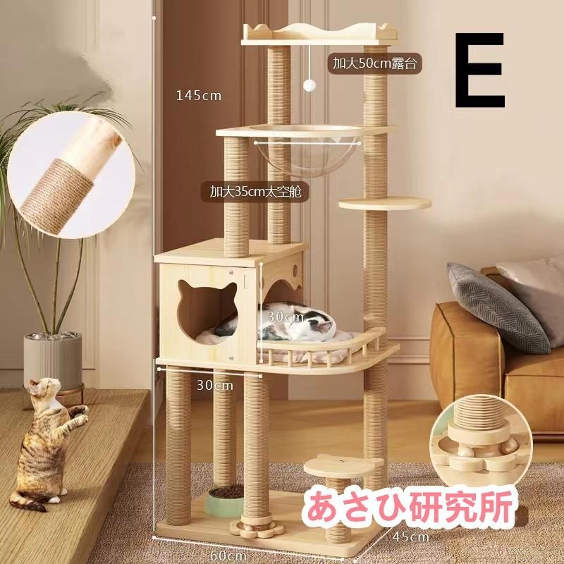 大型猫 透明宇宙船