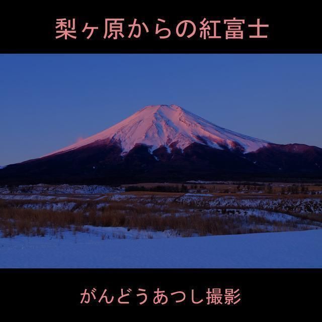 玉之内満雄　1994年作　「デルフトタイルの前のさくらんぼ」　油絵　真作保証 玉之内満雄 1994年作 「デルフトタイルの前のさくらんぼ」 油絵