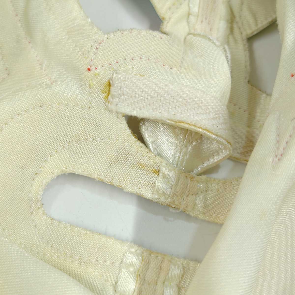 みちのくプロレス スペルデルフィン