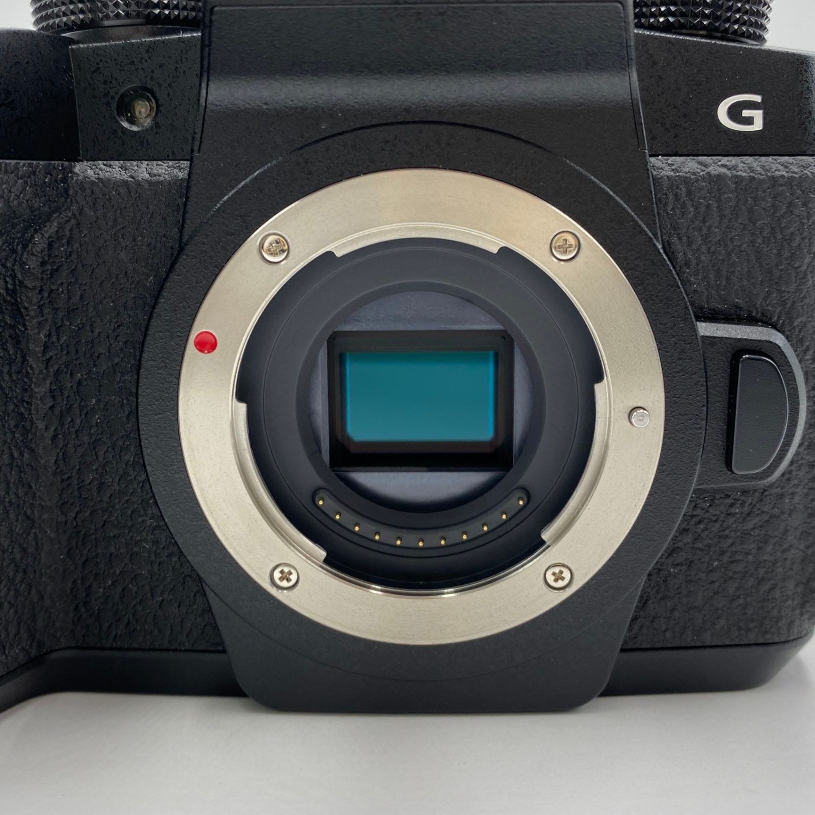 パナソニック Panasonic LUMIX DC-G99 ミラーレス一眼カメラ