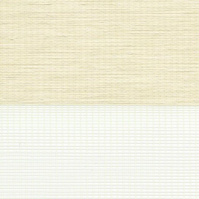 トーソー ロールスクリーン アイボリー 180X200 調光機能 チェーン式 30003329