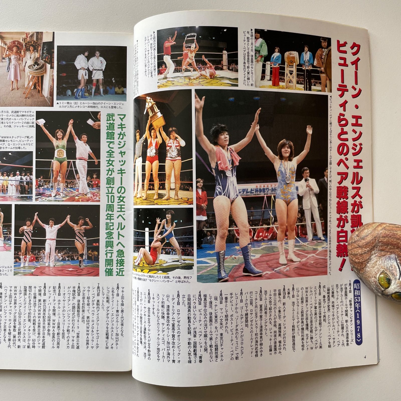 レディースゴングスペシャル 日本女子プロレス40年史 - メルカリ