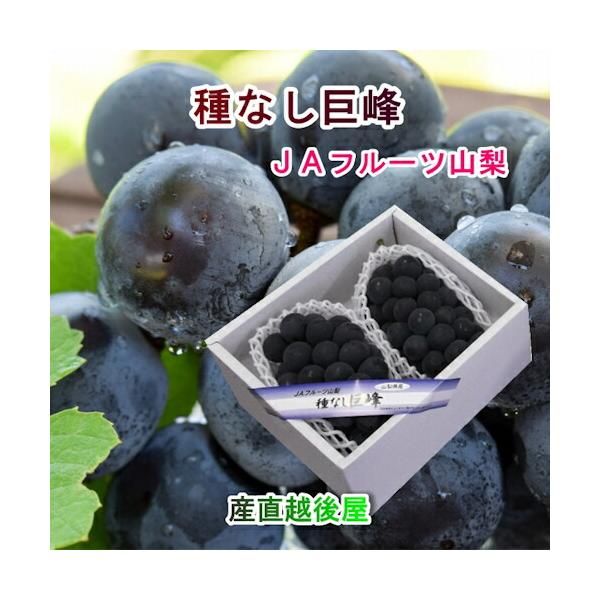 田酒　信州亀齢　醴泉正宗 田酒 信州亀齢 醴泉正宗 田酒 信州亀齢 醴泉正宗