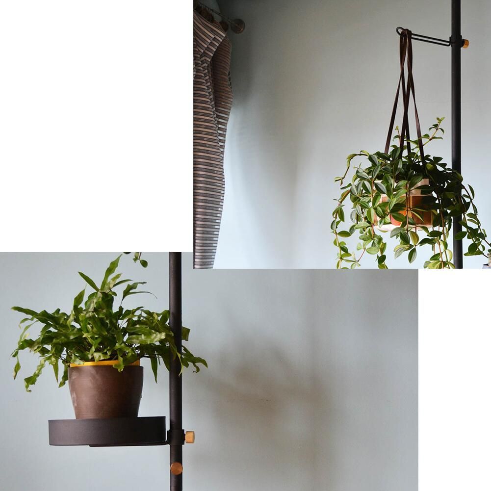 DRAW A LINE ドローアライン グリーンディスプレイセット 楽天市場】DRAW A LINE ドローアライン グリーンディスプレイ