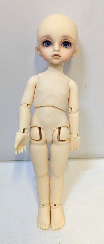 ボークス