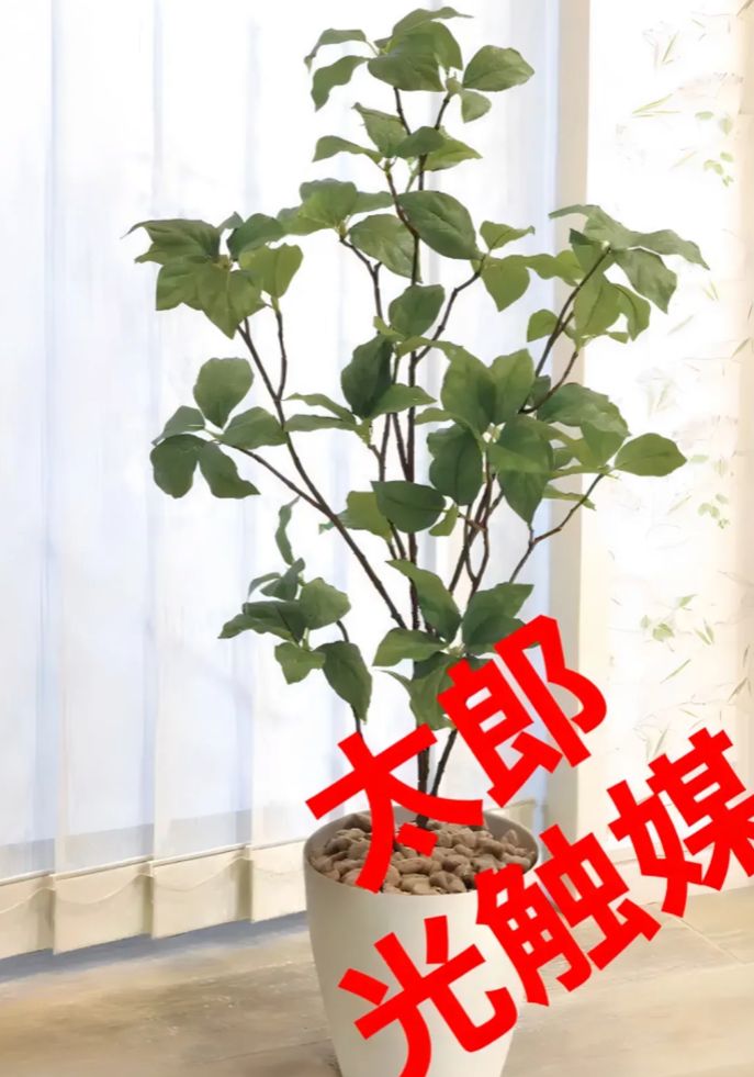 光触媒 人工観葉植物 抗菌消臭 ウォールグリーン ぽんず様専用 【公式