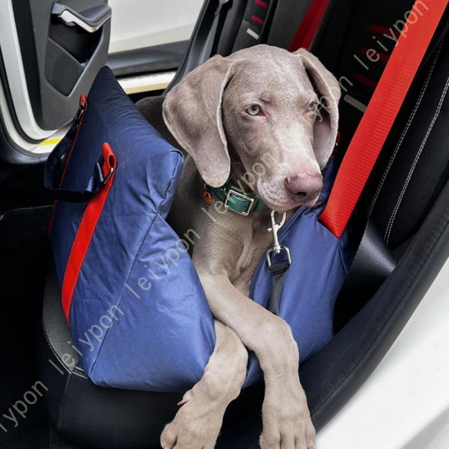 中型犬 小型犬