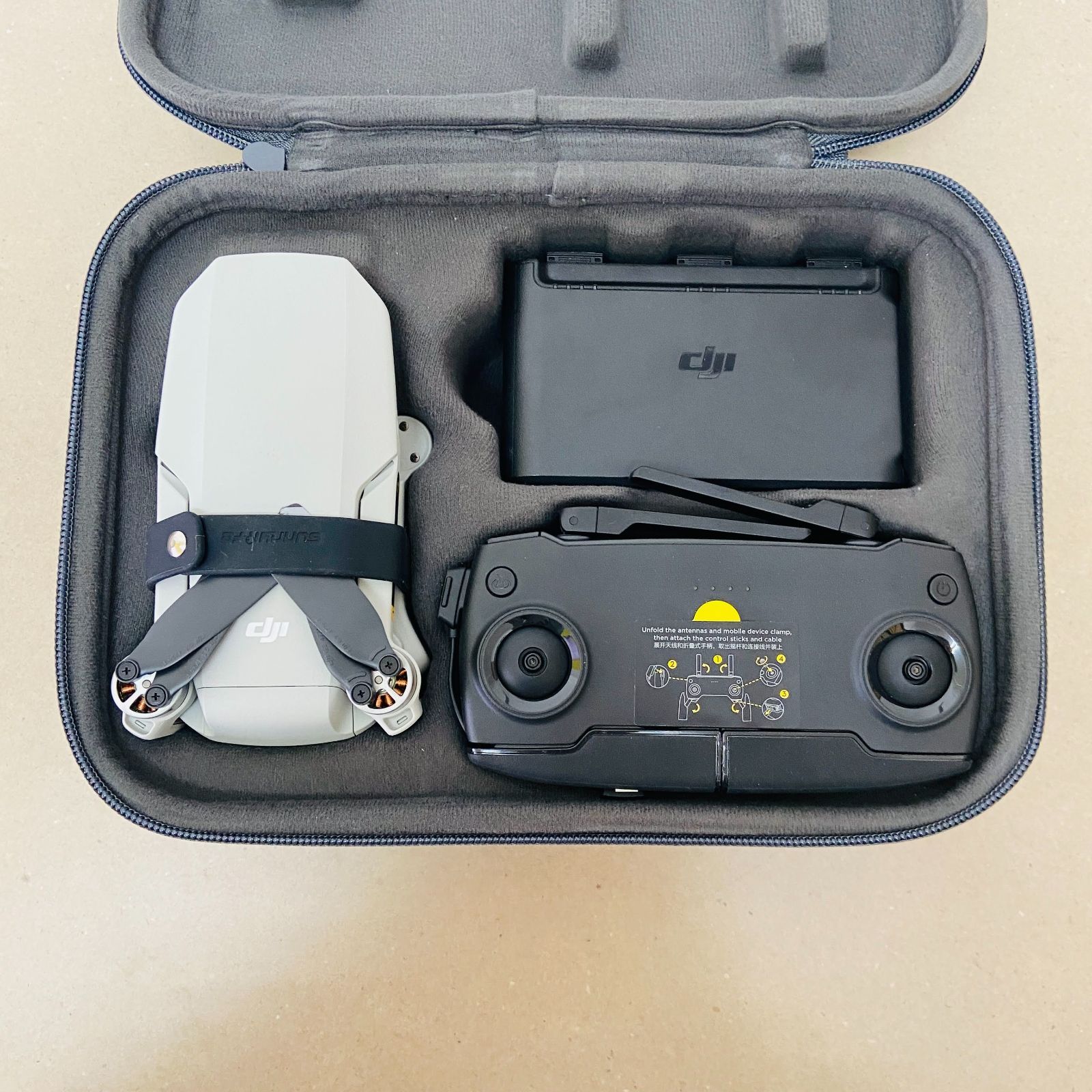 Mavic mini