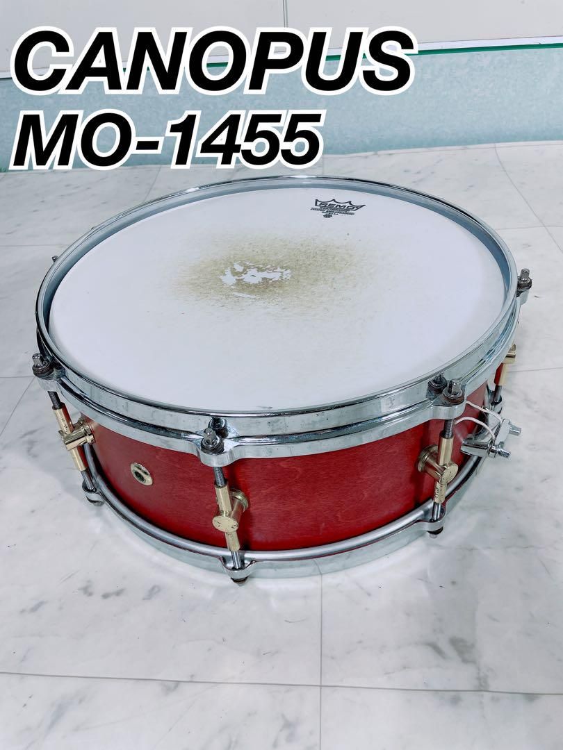 カノウプス スネアドラム MO-1455 欅 赤 レモ N1381
