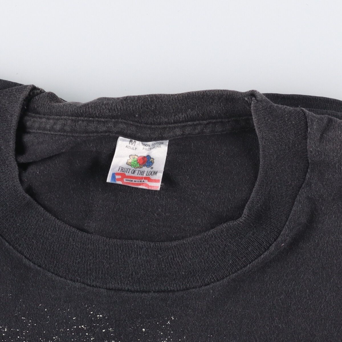 古着 90年代 フルーツオブザルーム FRUIT OF THE LOOM ALBERT EINSTEIN 