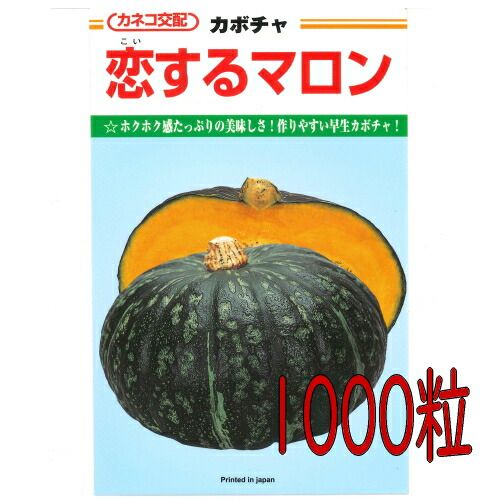 カネコ種苗 恋するマロン 南瓜 １０００粒