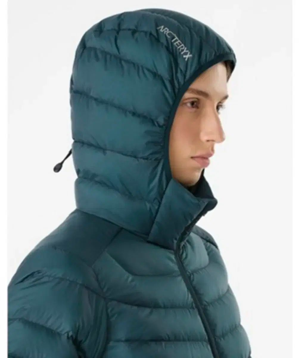 ARC TERYX アークテリクス レディース セリウム ダウン XS