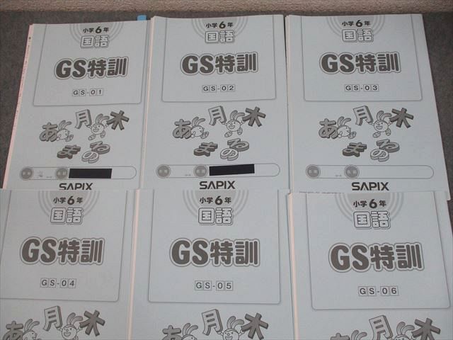 SAPIX サピックス 小6 国語 GS特訓 GS-01～06 2021年度版 通年セット