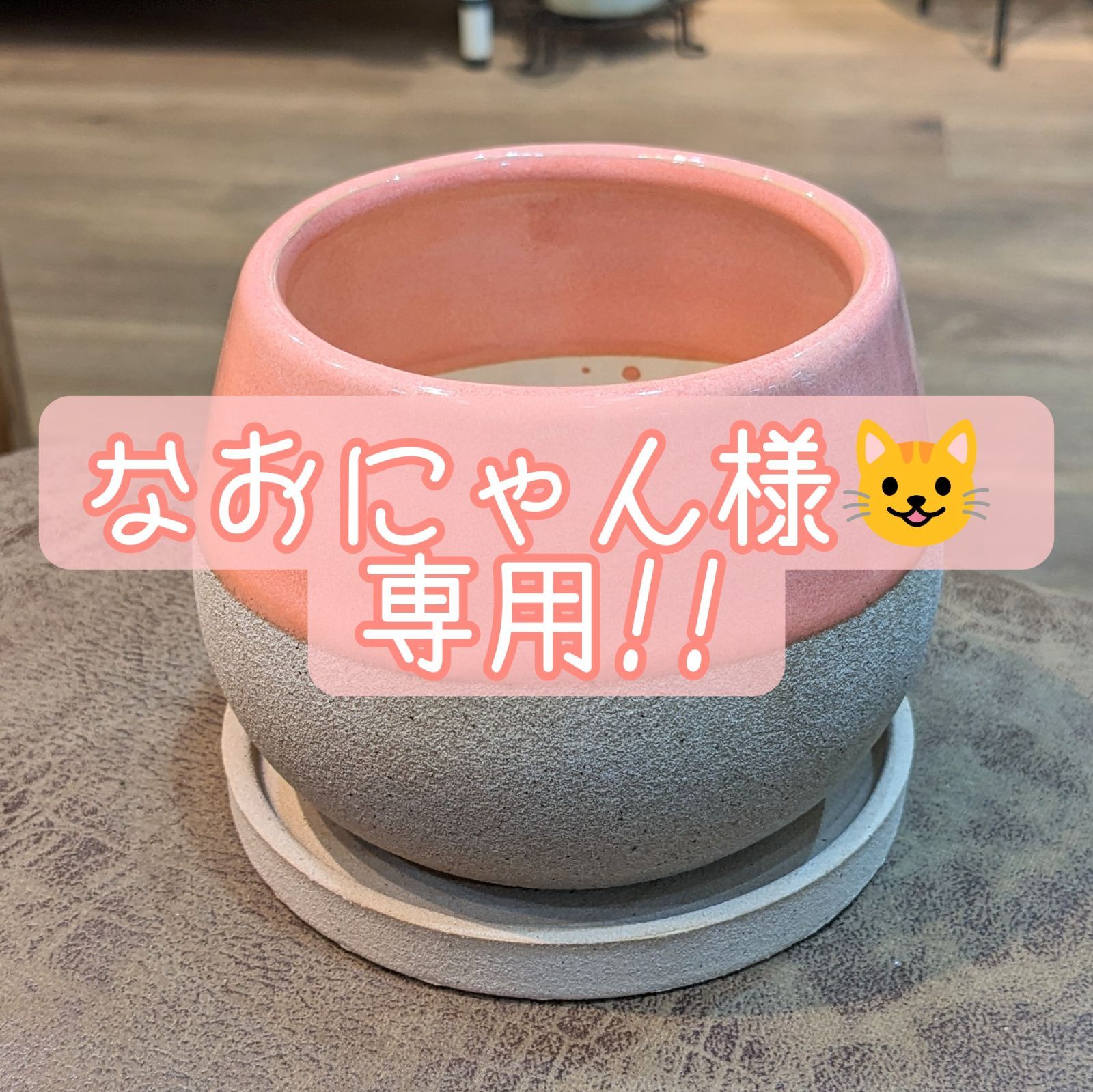 なおにゃん様 専用!! - 植物と犬服のお店NOKO's - メルカリ
