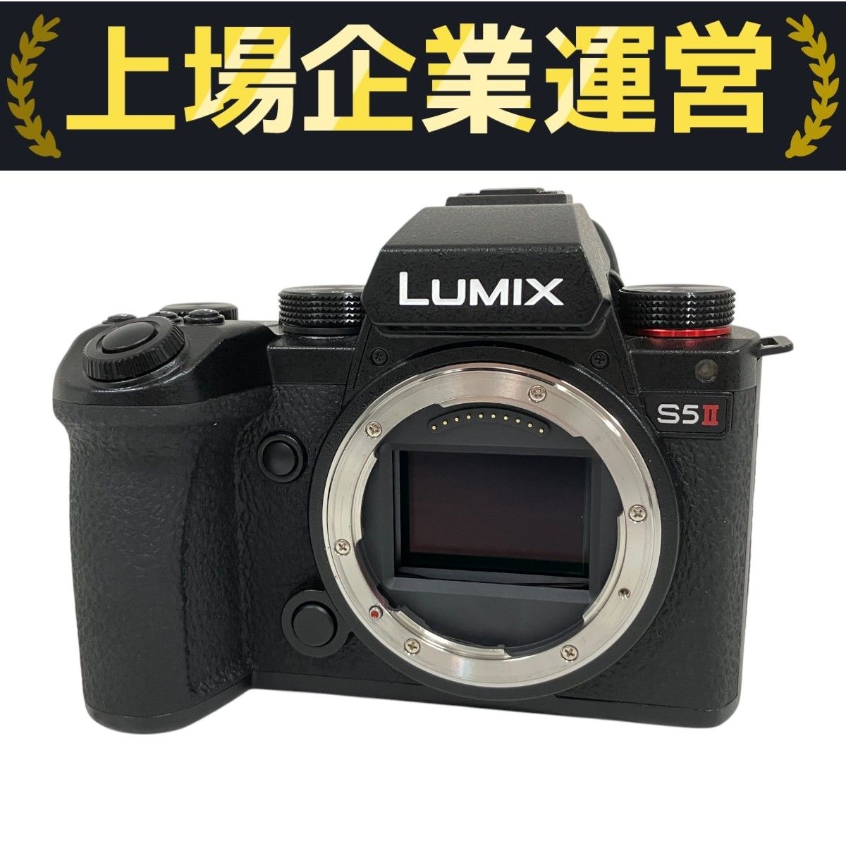 最も信頼できる S5II LUMIX Panasonic ボディ 予備 カメラ デジタル DC-S5M2 デジタルカメラ