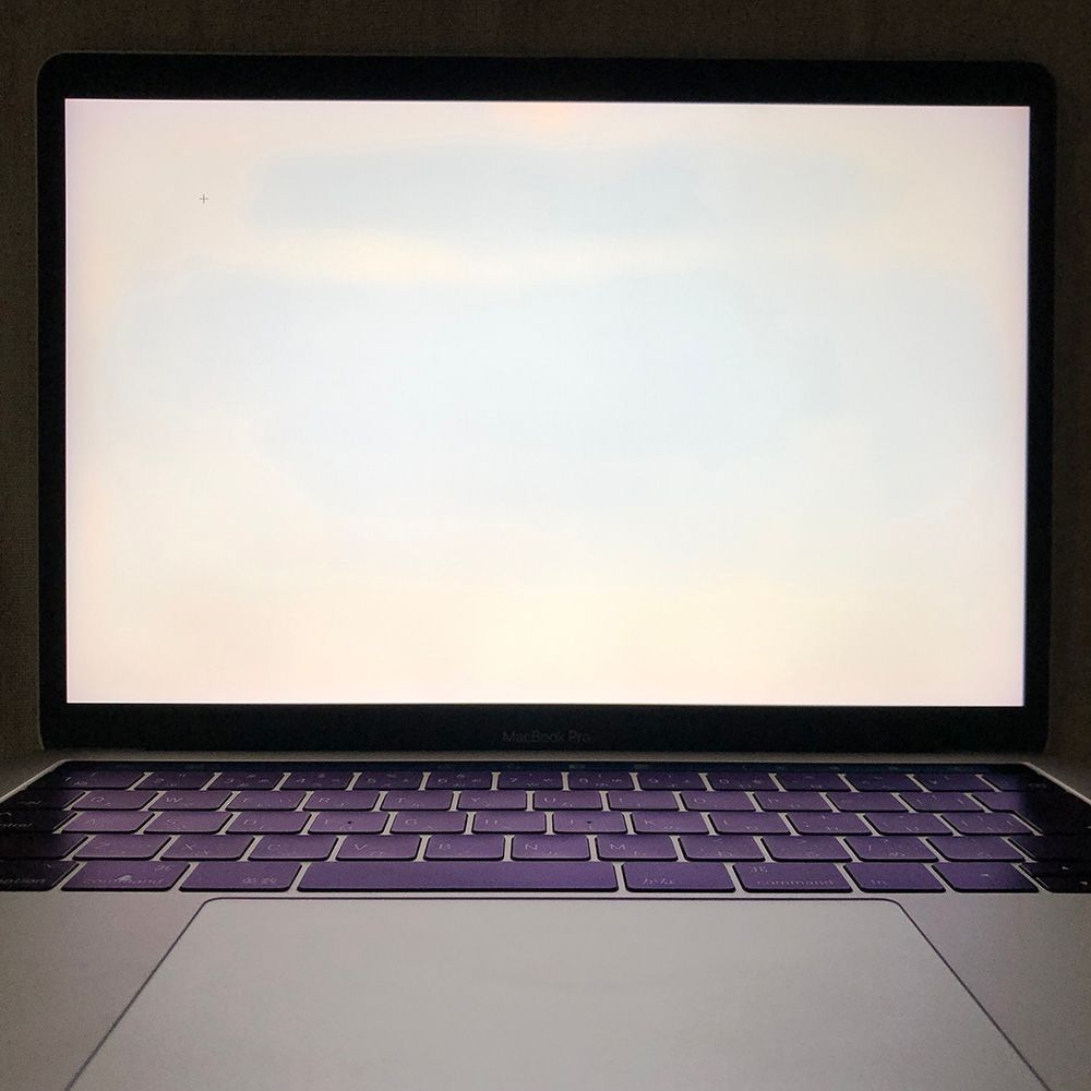 ◇ジャンク品・本体のみ◇Apple MacBook Pro (13-inch, 2017 