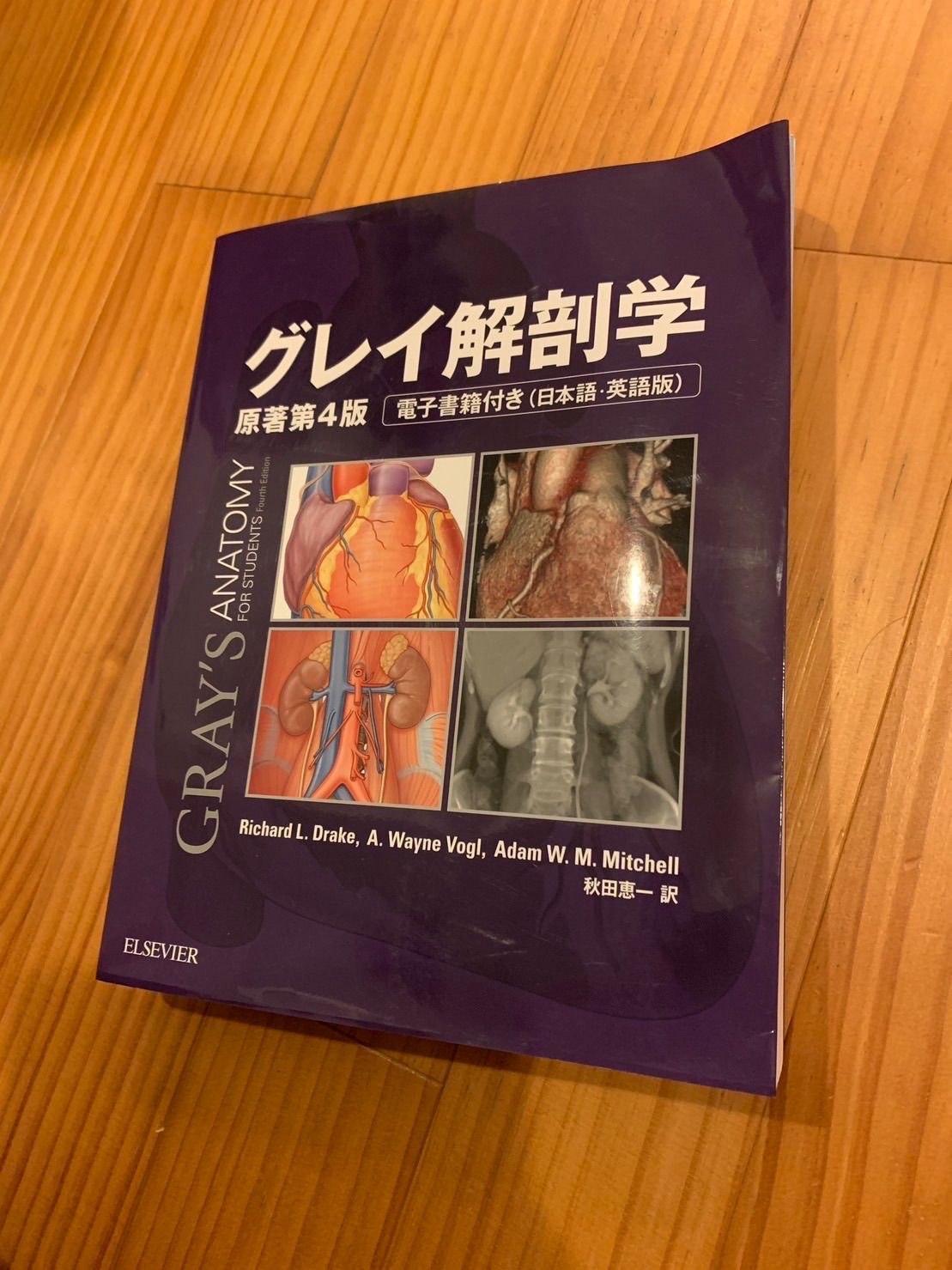 グレイ解剖学 原著第4版 グレイ解剖学 原著第4版 グレイ解剖学 グレイ解剖学 原著第4版