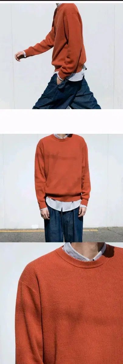 50 ファーストフロア デイリー コットン プルオーバー 人参